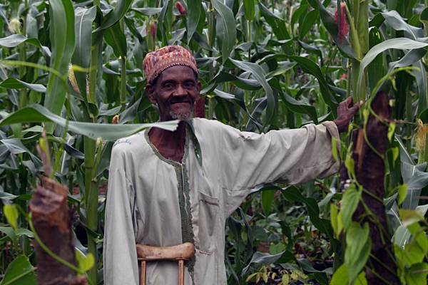 Agriculture-Cameroon