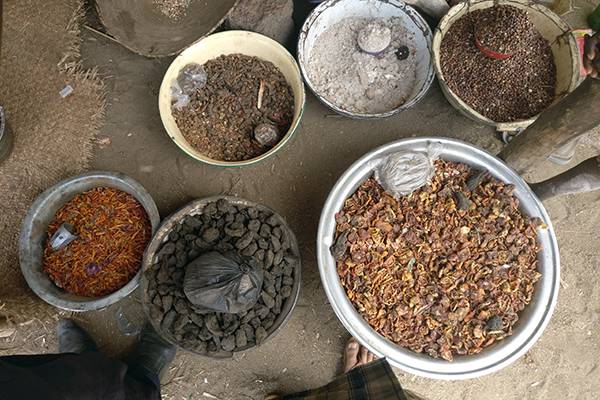 Agricultural+Specialist-Chad