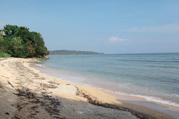 Philippines-Coral+Restoration+Project+Scuba+Diver%2FSpecialist