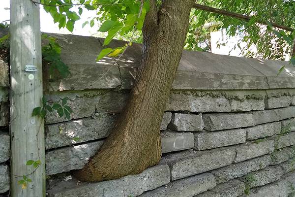 Over+The+Wall